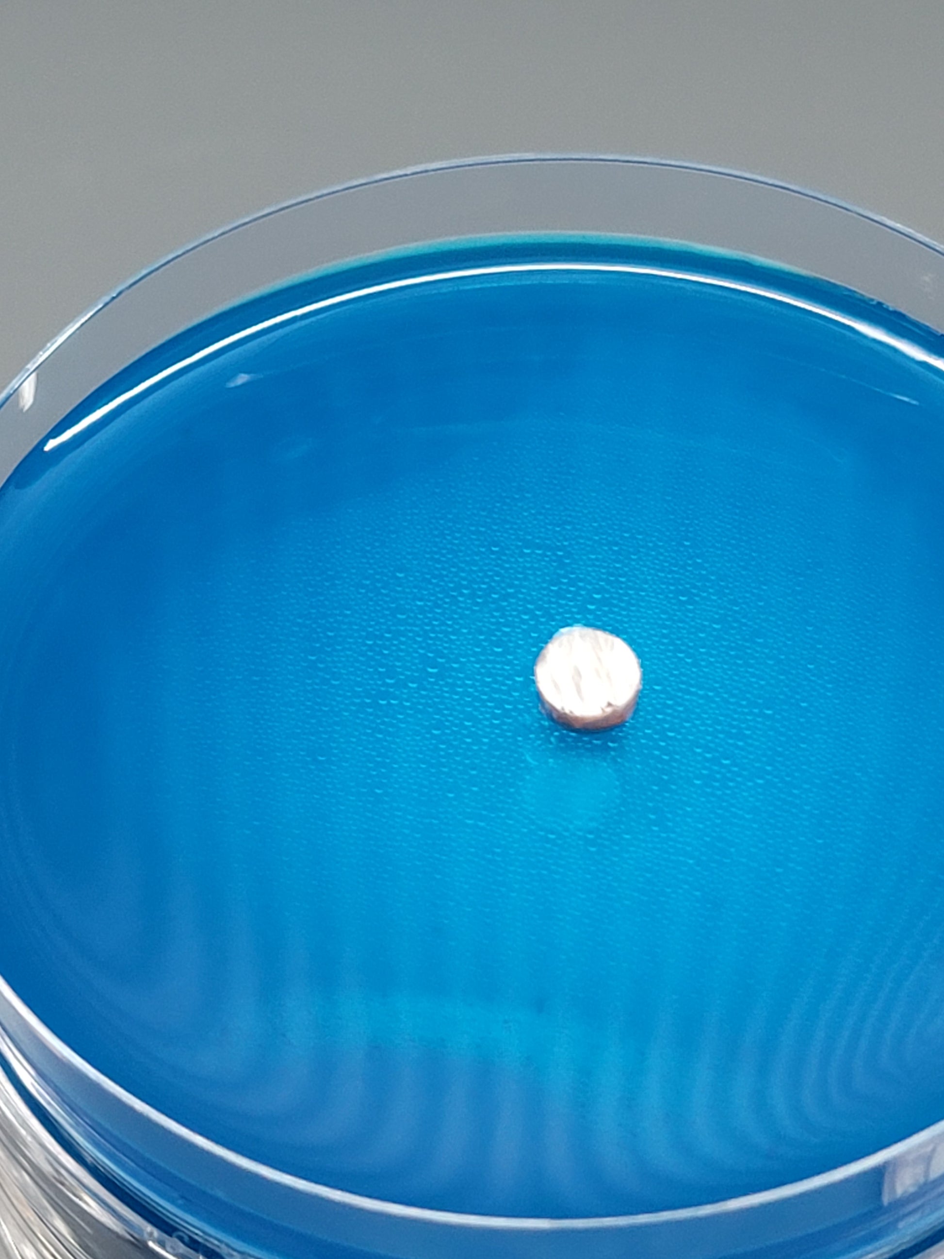 Agar Corer Lab Tool Agar Petri Dish